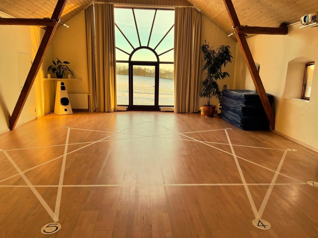 2024 Osho Risk Enneagram