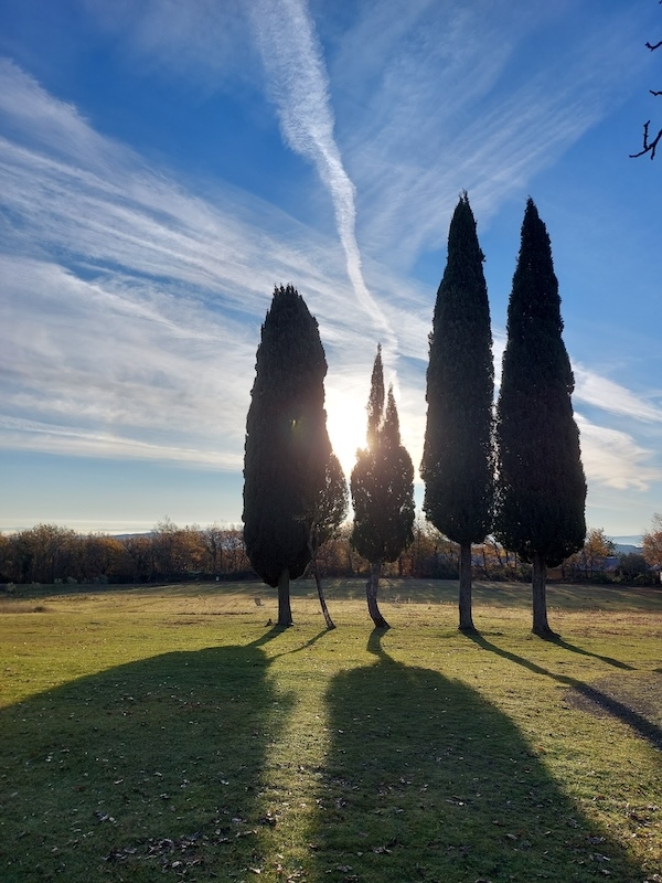 2025 Primal Training 1 Miasto